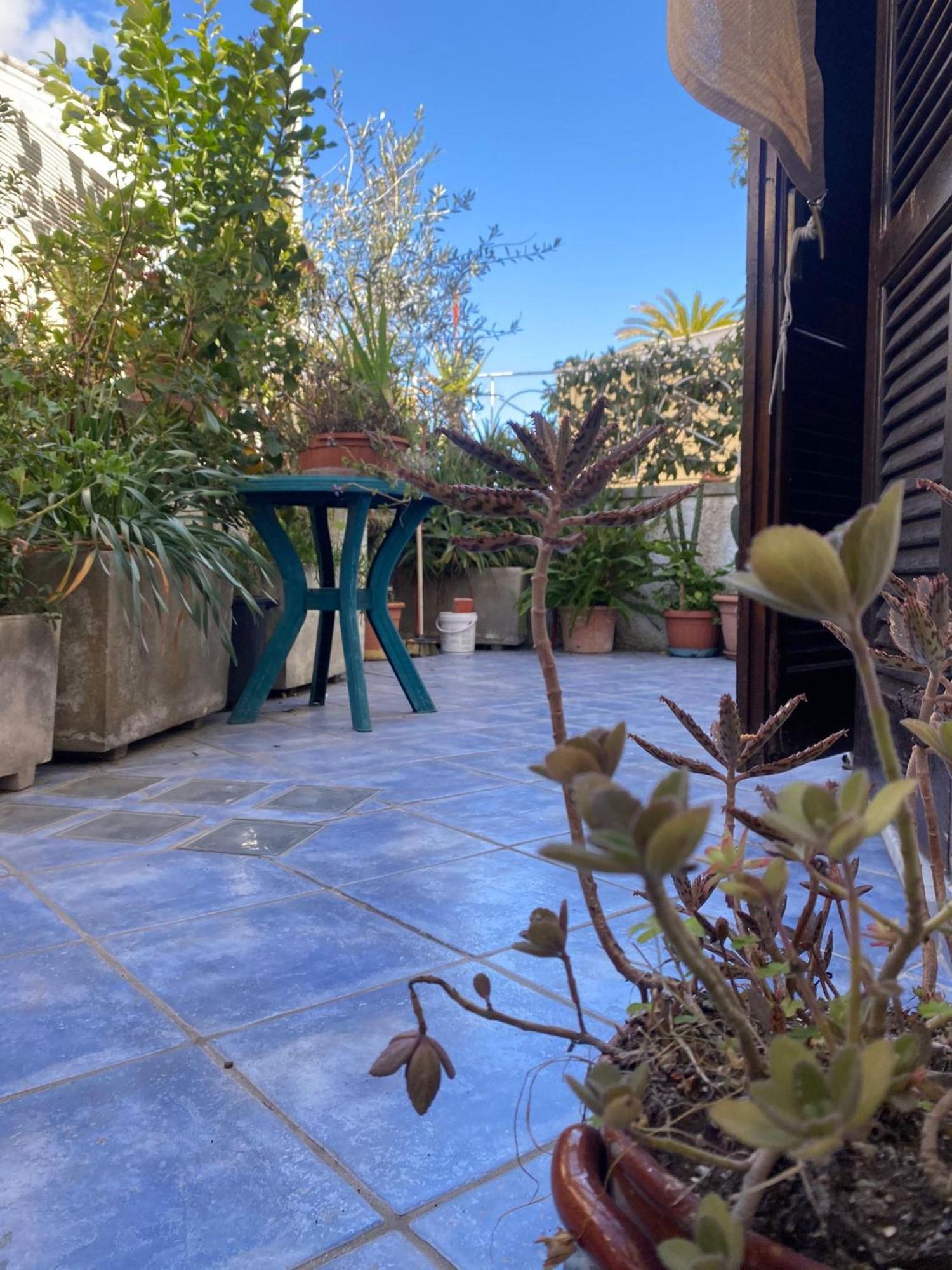 Casa Vacanza Maronti 巴拉诺迪斯基亚 外观 照片
