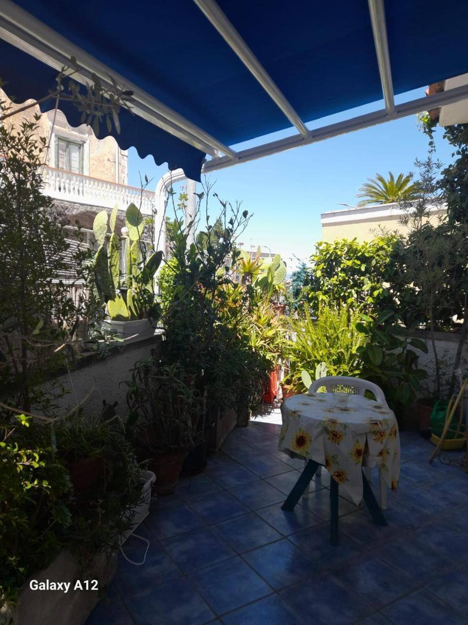 Casa Vacanza Maronti 巴拉诺迪斯基亚 外观 照片